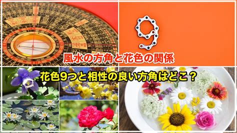 薔薇 風水 方角